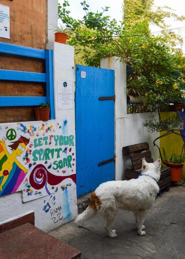 Zeppelin Art-Hostel Μαρ ντελ Πλάτα Εξωτερικό φωτογραφία